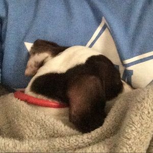 Meet your Posher, Anthony